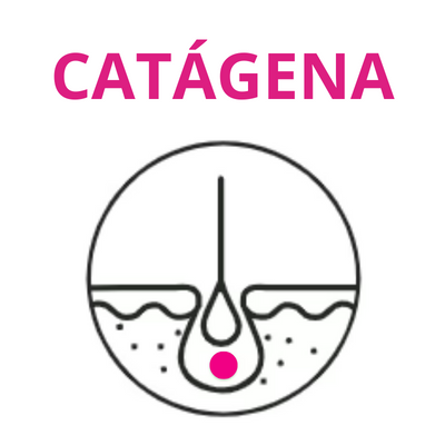 fase_catagena_ciclo_del_crecimiento_pestañas